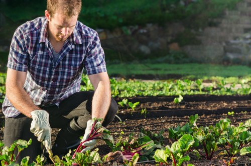 Segregated garden waste bags for recycling and composting