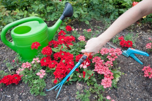 Gardener team planning work in a residential garden