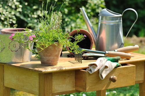 Personalized garden design services