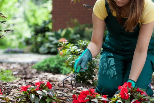 On-site senior technician assessing garden work